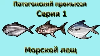 Русская Рыбалка 3.99 (Russian Fishing) Патагонский промысел 1 - Морской лещ