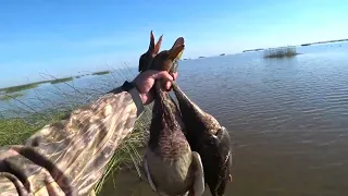 Два дня охоты на уток ! 13.09.22 г. Первый хороший день ...