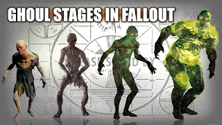 The 7 Stages Of Ghouls in Fallout ☢️