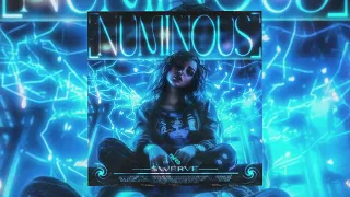 $werve - Numinous