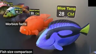 Fish size comparison 4k real scale comparison