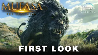 Mufasa: The Lion King (2024) Disney | FIRST LOOK