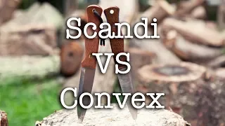 Scandi vs Convex Which is Better?