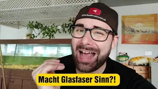 Macht ein Glasfaser Anschluss Sinn?