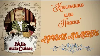 "Крылышко или ножка" / Лучшие моменты