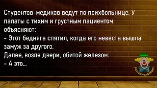 🤡Семейная Пара Едет Домой...Сборник Свежих ,Смешных До Слёз Анекдотов,Для Супер Настроения!