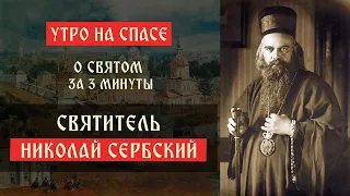 О святом за три минуты: святитель Николай Сербский | Утро на Спасе | телеканал Спас