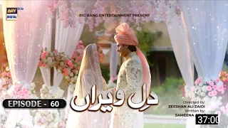 Dil e Veeran Episode 60 - 8 August 2022 - Full Episode - ARY Digital - Haseeb helper