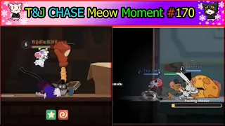 Tom And Jerry Chase | Meow Funny Moment EP#170