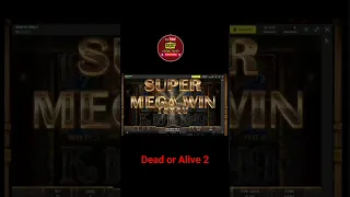 Dead or Alive 2 Mega Win  #shorts #utubeslots #slots