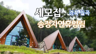 경북 칠곡의 '송정자연휴양림' 힐링여행 (feat, 세모집 내부)