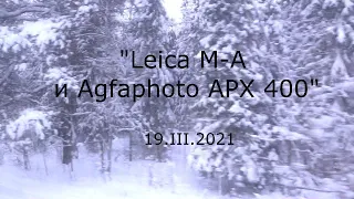 С.В. Савельев - Leica M-A и Agfaphoto APX 400