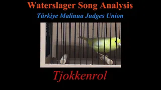 Waterslager Song Analysis Stage - 1