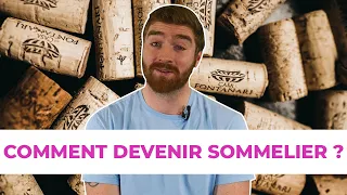 Comment devenir sommelier 🍷🍽🤵 ? (formation, salaire, journée type,...)