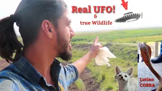 WILDLIFE ke beech mein 'UFO' in BIHAR, India!(no clickbait!)