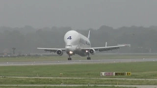 4K | Super Transporter Airbus A300 Beluga | Very Short Landing at XFW