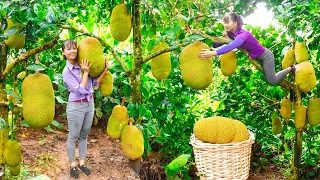 How To Cook Sticky Rice In Bamboo Tube - Bring to the market sell | Tiểu Vân Daily Life