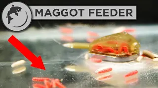 How To Tie A Maggot Feeder Rig For Tench Fishing