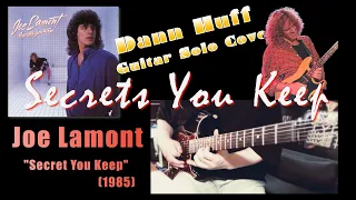 Joe Lamont - Secrets You Keep【Dann Huff Guitar Solo cover】(James Tyler／Neural DSP)