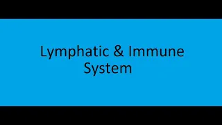 Lymphatic & Immune System