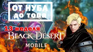 [Black Desert Mobile] Дневник: Chiki.Po / Тринадцатая неделя / От нуба до топа