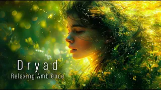 Dryad - Relaxing Fantasy Ambient Music for Meditation