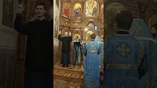 Литургия для глухих, священники служат на жестовом языке.