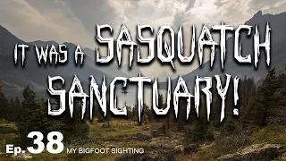 My Bigfoot Sighting Episode 38 - It Was a Sasquatch Sanctuary!