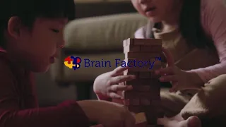 Discover the Magic of Handcrafted Wooden Toys by Brain Factory