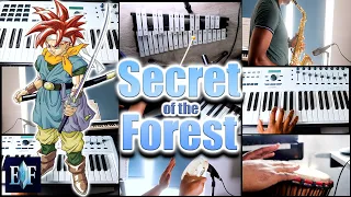 Secret of the Forest Cover (Chrono Trigger)