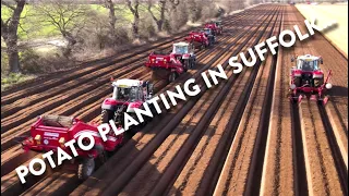 4Kᵁᴴᴰ March 2024: Ploughing ridging planting potatoes Massey Ferguson Grimme Valtra Kverneland