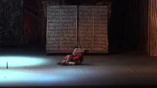 Одноактные балеты Раду Поклитару