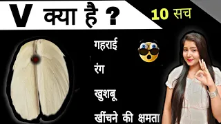 V  के  10 सच | @studywithmeekta