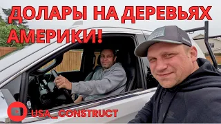 Доллары на деревьях АМЕРИКИ!