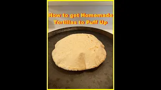 How to Make Puffy Corn Tortillas - The Easy Way #minirecipes #shortrecipes #shorts