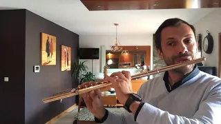 Gil Magalhães - 30 Studies for Flute Solo Op.107 n.27 Karg-Elert