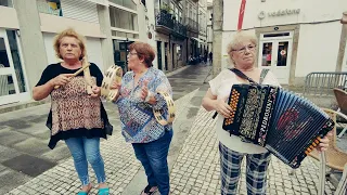 Concertinas - Vaca das Cordas 2022 - Ponte de Lima