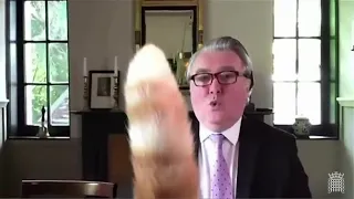 「ロホ、しっぽを下げなさい」　英議会のビデオ会議中に……