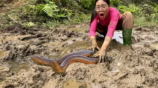 Dig the Mud for catch eels , cooking eels, Find bamboo shoots and cook