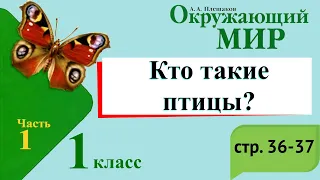 Кто такие птицы? Окружающий мир. 1 класс, 1 часть. Учебник А. Плешаков стр. 36-37