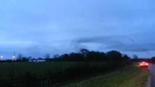 Bird display over the Solway Firth