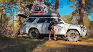 National Forest 4Runner Camping with my Malinois (a new favorite spot!)