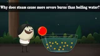 Why does steam cause more severe burns than boiling water? | #aumsum #kids #science