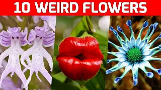 10 Most Weird & Rare Flowers You've Never Seen!