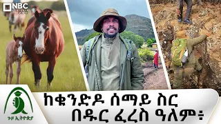 ከቁንድዶ ሰማይ ሥር...! | የምስራቅ አፍሪካ የመጨረሻዎቹ የዱር ፈረሶች| Guzo Ethiiopia | ጉዞ ኢትዮጵያ @NBCETHIOPIA