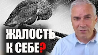 Как перестать желеть себя? Александр Ковальчук