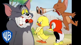 Tom und Jerry auf Deutsch | Niemals ein langweiliger