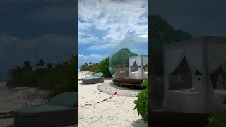 #maldives #beach #shortvideo #shorts #trend #viral #like