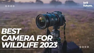 Best Camera for Wildlife Photography 2023 - Top 5 Best Camera for Wildlife