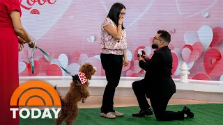 Veterinarian gets surprise marriage proposal live on TODAY